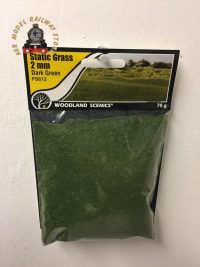 Woodland Scenics FS613 2mm Static Grass Dark Green 70 gram Bag