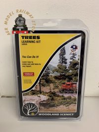 Woodland Scenics LK953 Realistic Trees Learning Kit