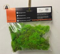 Gaugemaster GM1601 Light Green Lichen 80g
