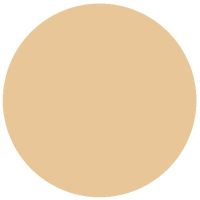 RailMatch 2425 New Stone (Acrylic) (18ml)