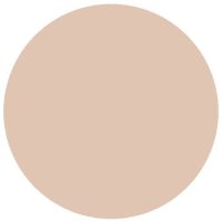 RailMatch 2430 New Timber (Acrylic)(18ml)