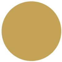 RailMatch 2256 EWS Gold (Acrylic) (18ml)