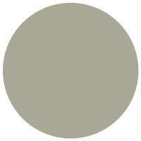 RailMatch 1320 Diesel Roof Grey (150ml aerosol)