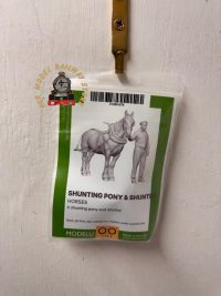 ModelU 31305 Shunting Pony and Shunter OO Scale